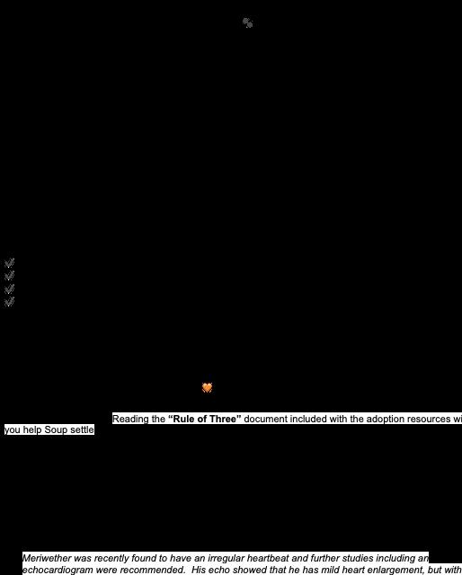 Meriwether, a Adoptable mixed breed in Nanaimo, BC image 1/3