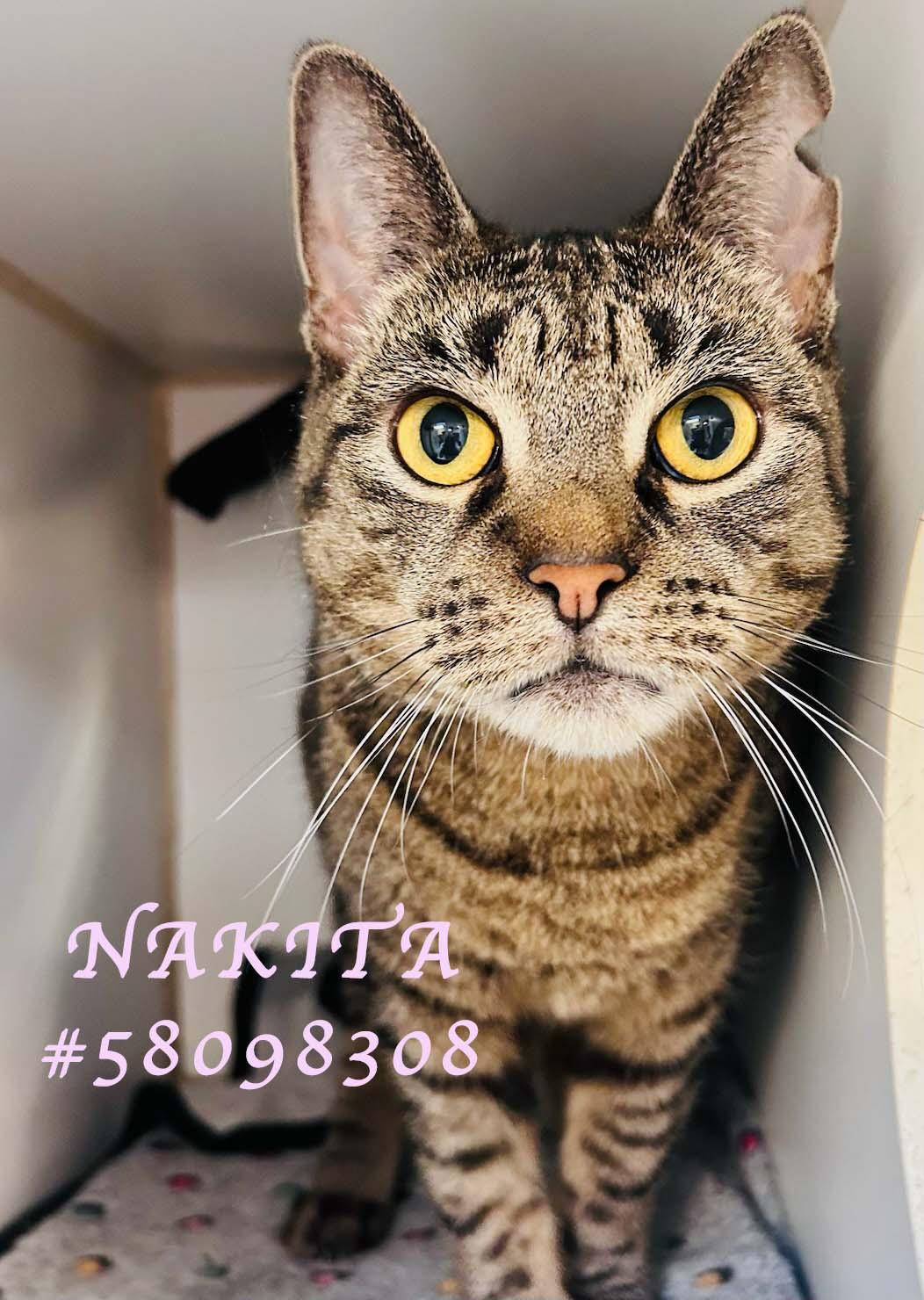 Nakita