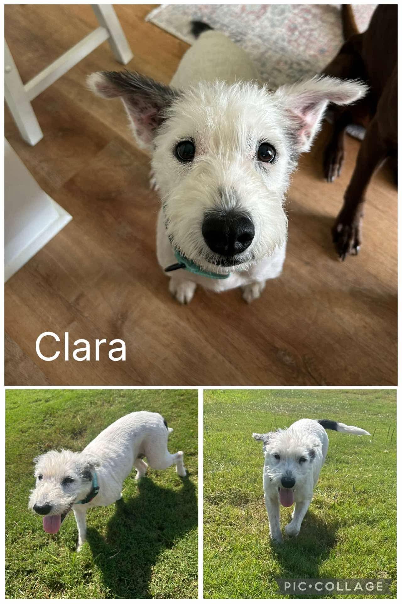 Clara