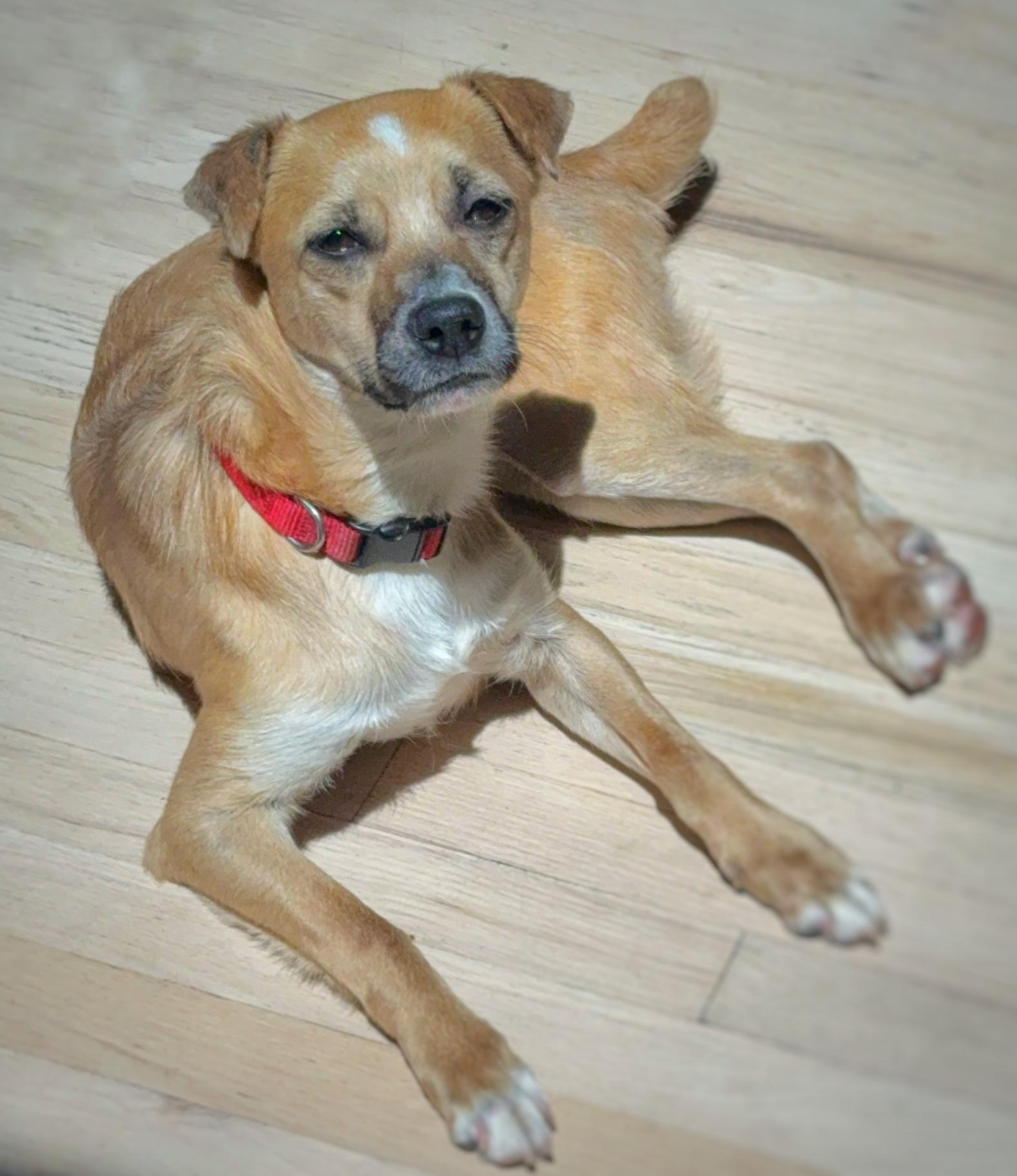 Honey photo 5