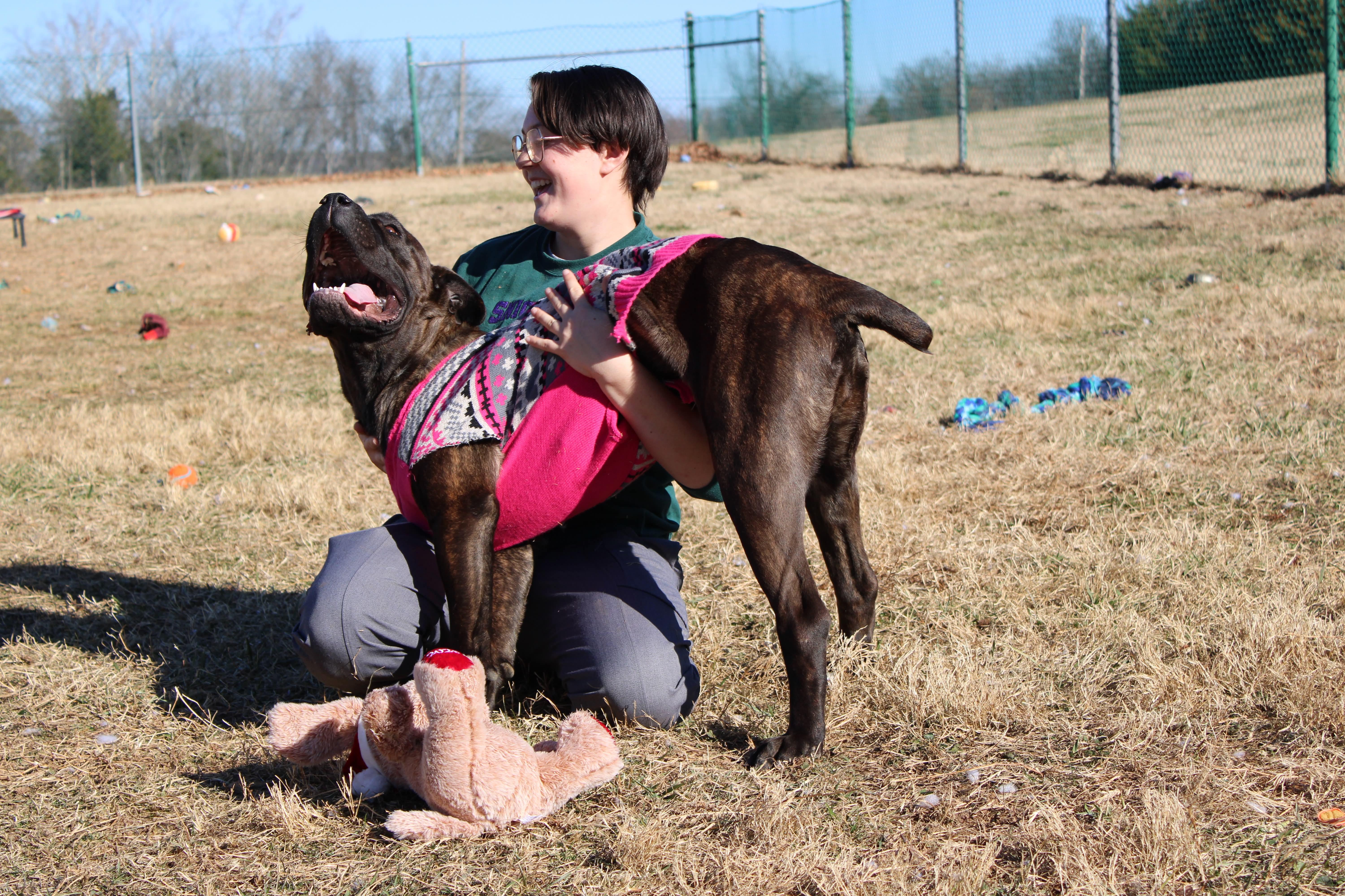 Enlarge Freya, a ADOPTABLE Mastiff in Culpeper, VA image 5/6