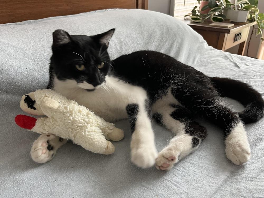 Asparagus "Gus" — thumbnail 2