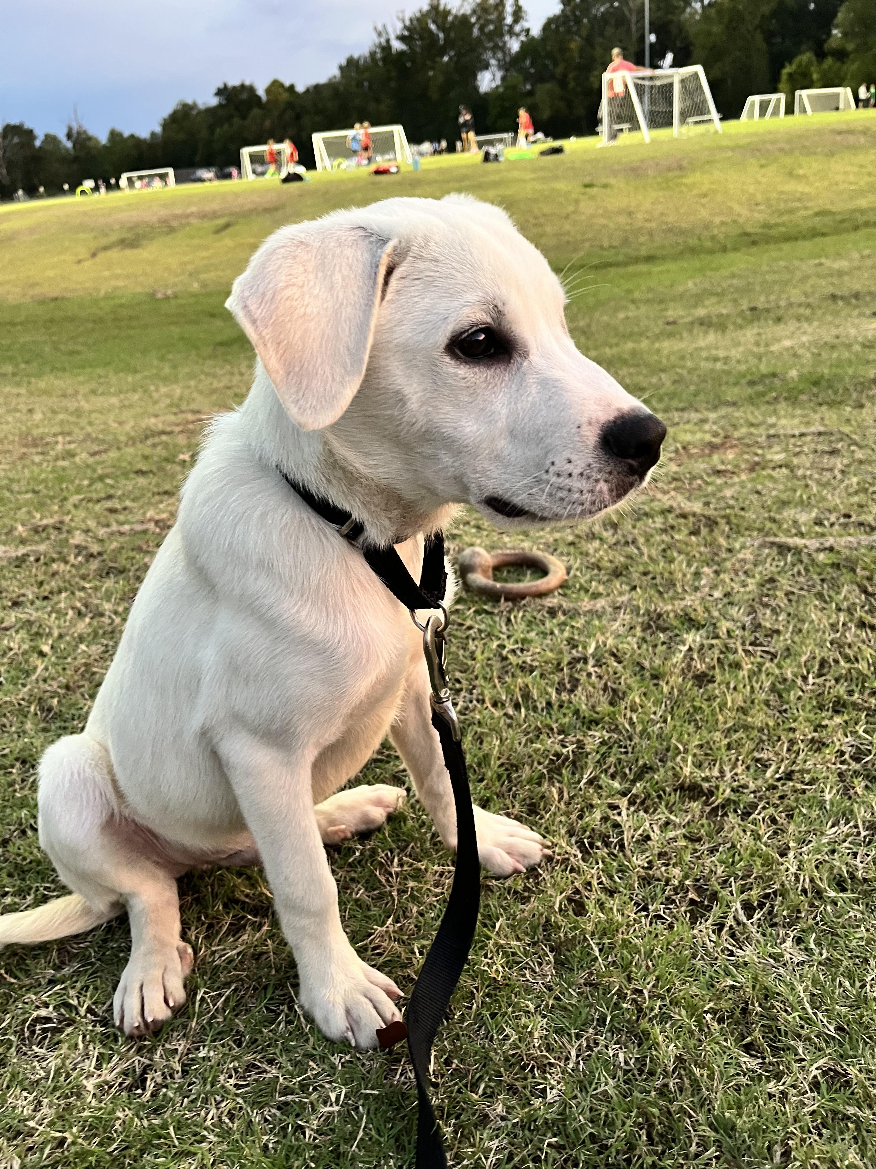 Leo