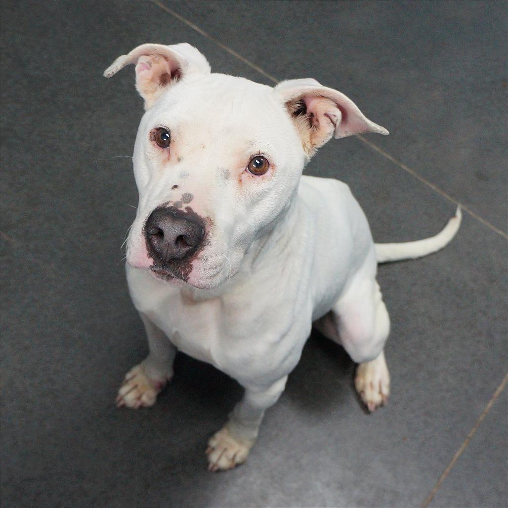 Zora — thumbnail 3