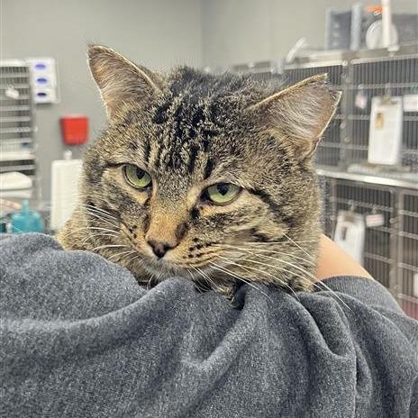 Little Bit — thumbnail 3