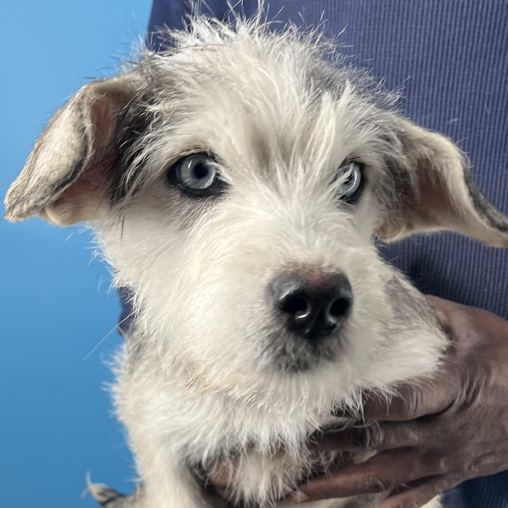 Honey  Local February thumbnail 2