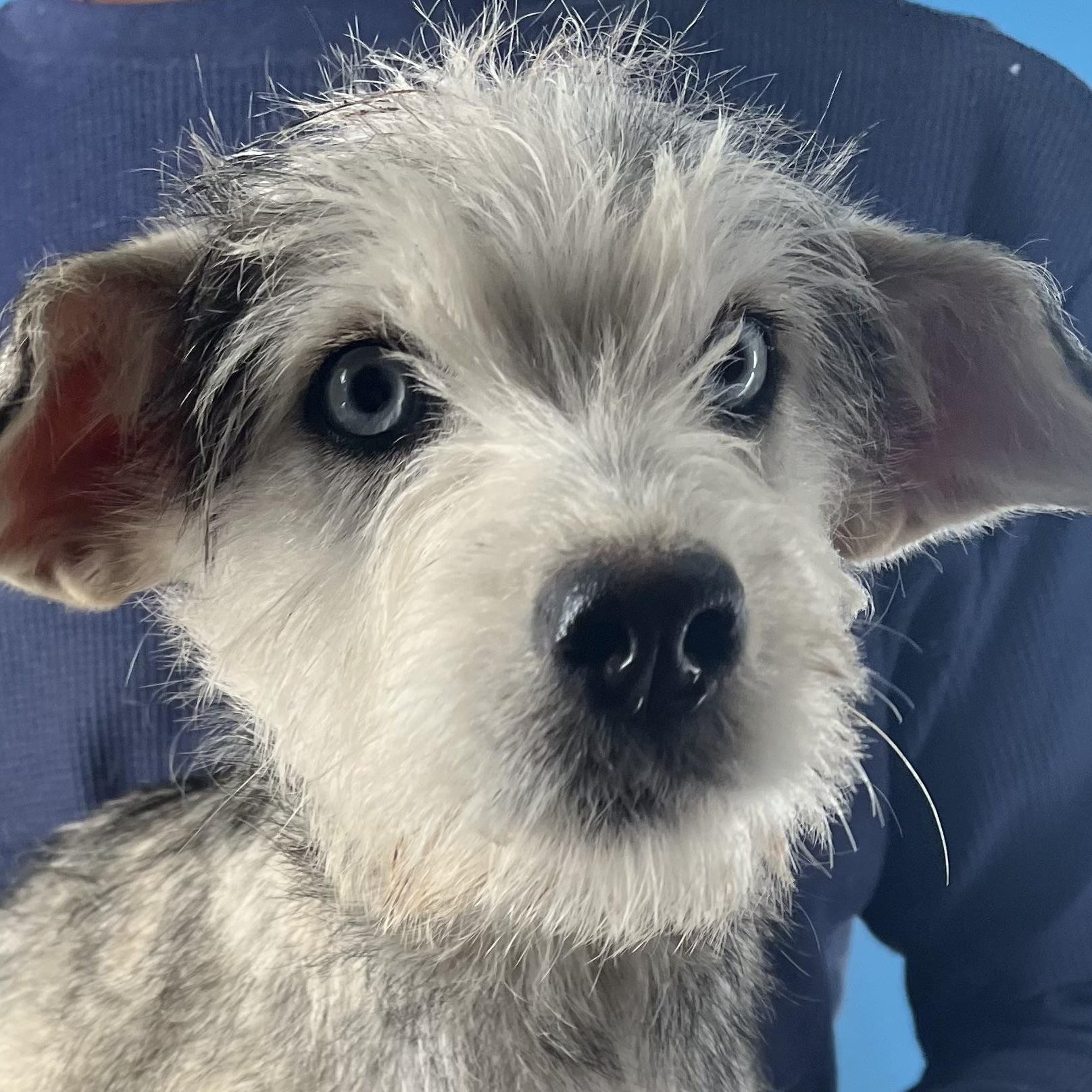 Honey  Local February thumbnail 6