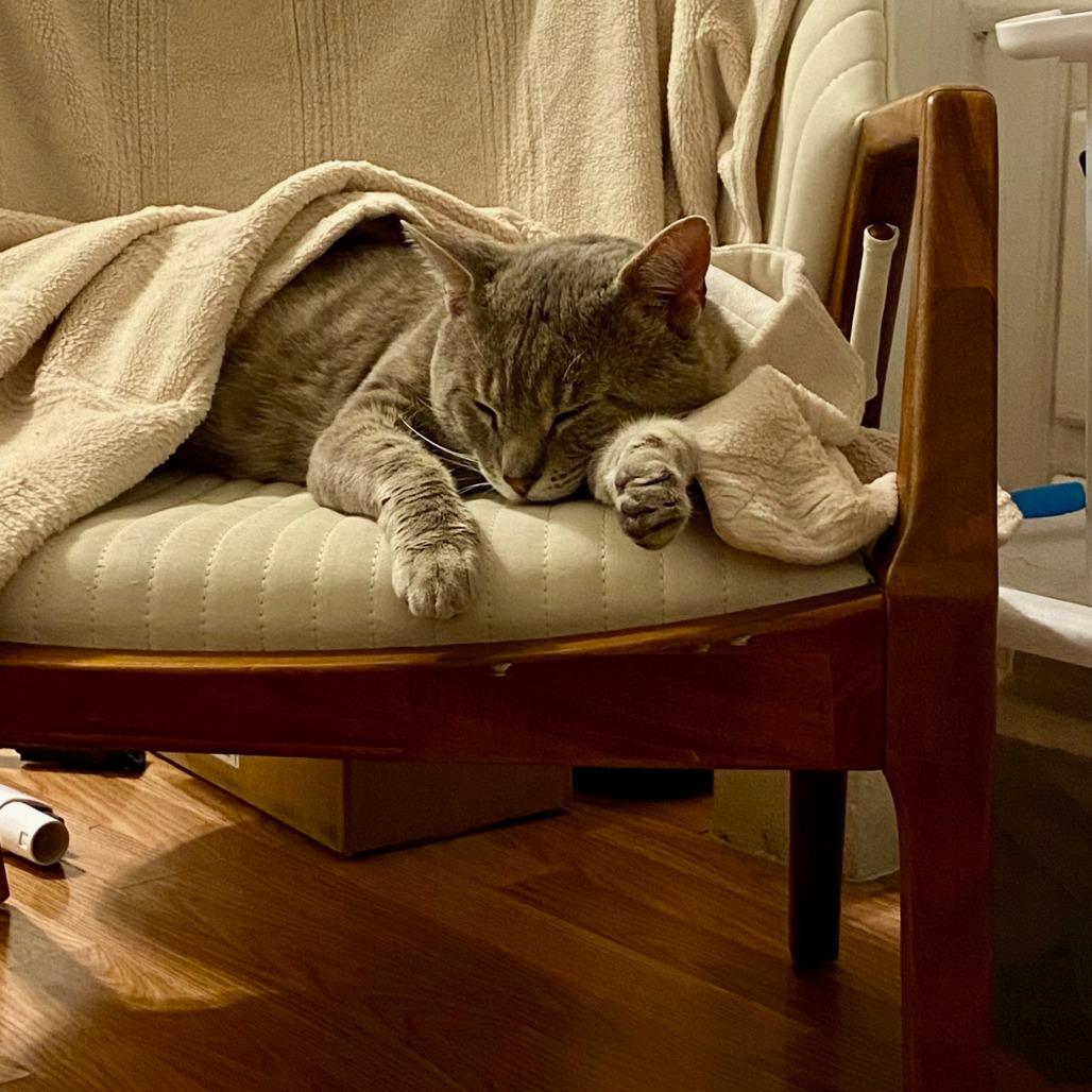 Phantom 2 — thumbnail 4