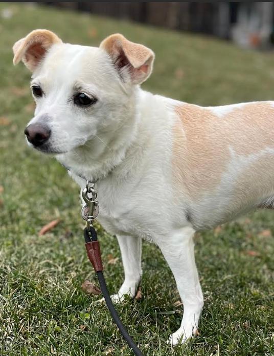 Daisy In Ri thumbnail 3