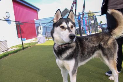 fernando — thumbnail 2