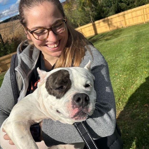 Enlarge Matilda, a Adoptable Mixed Breed in Bangall, NY image 3/5