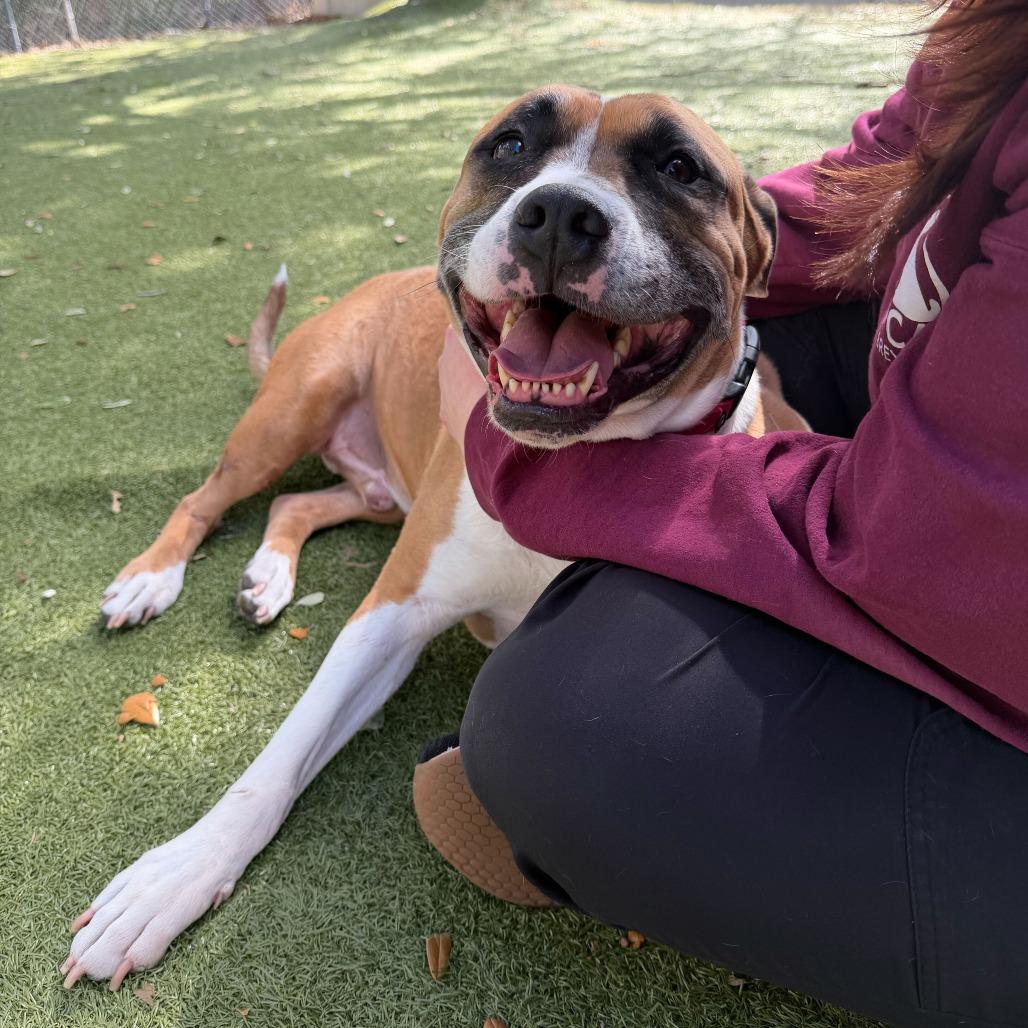 Timon — thumbnail 4