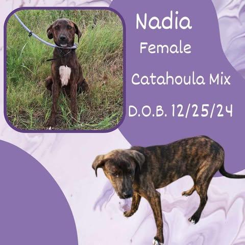 Nadia