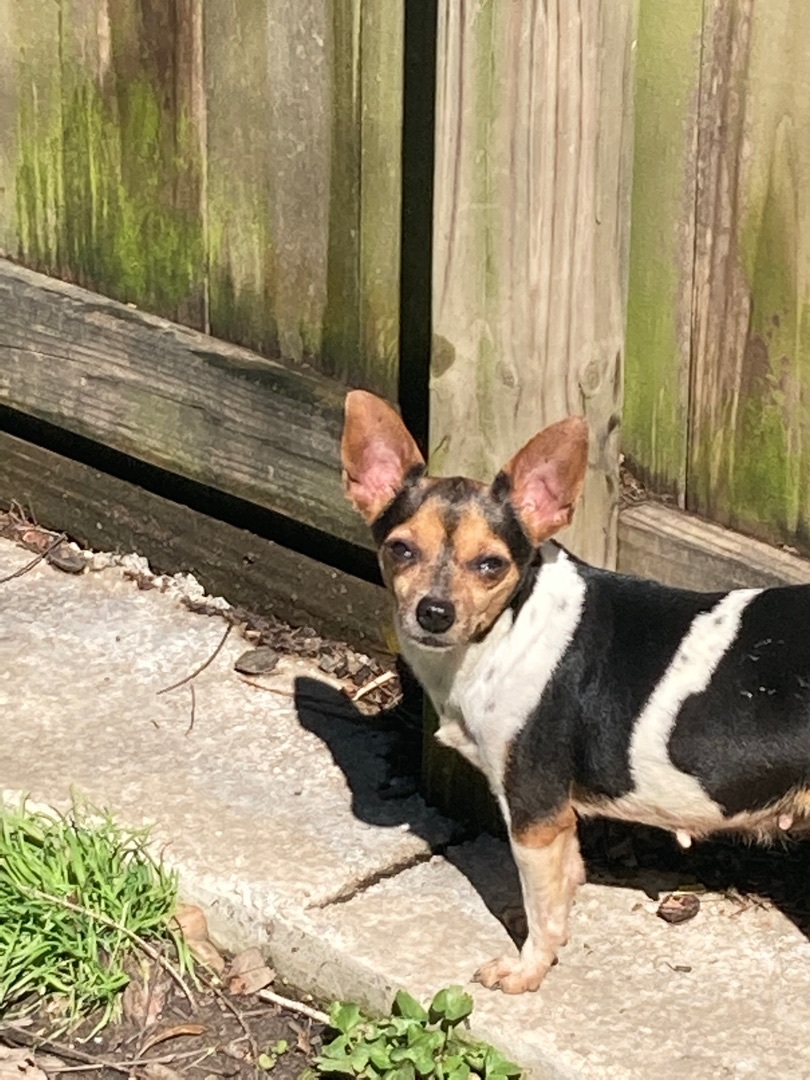 Josie photo 3