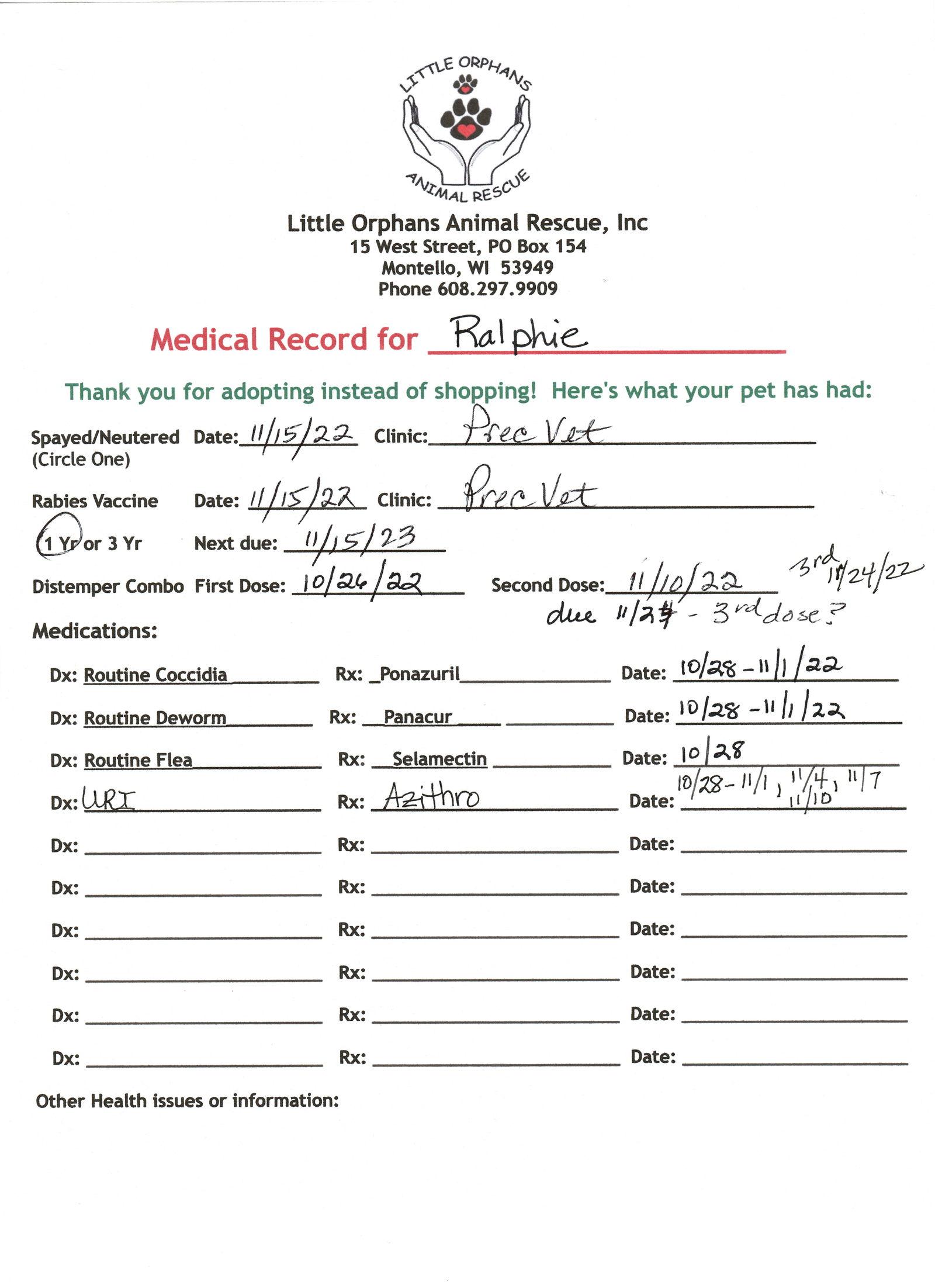 Ralphie, a Adopted mixed breed in Montello, WI image 2/3