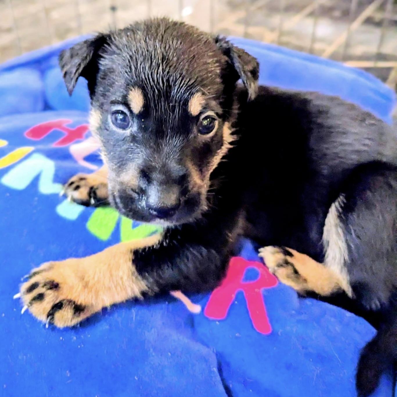 Bubbly (20251022-03)