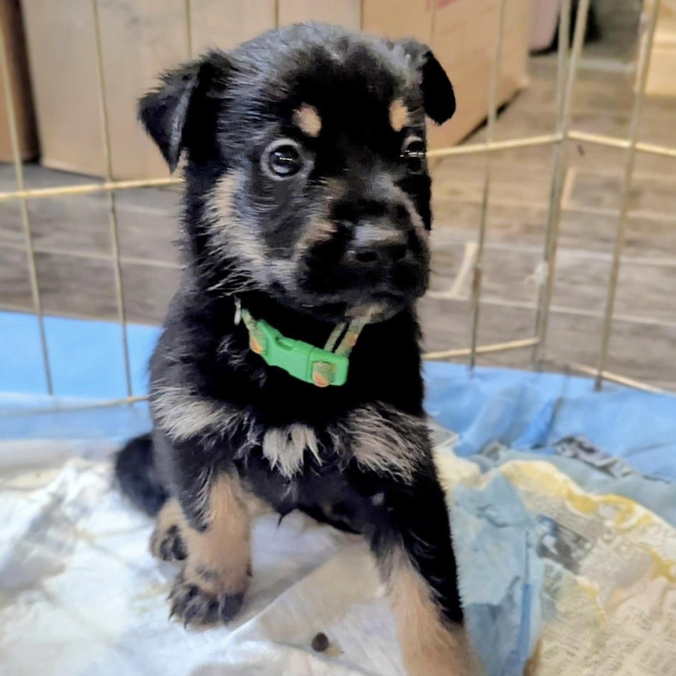 Bubbly (20251022-03)