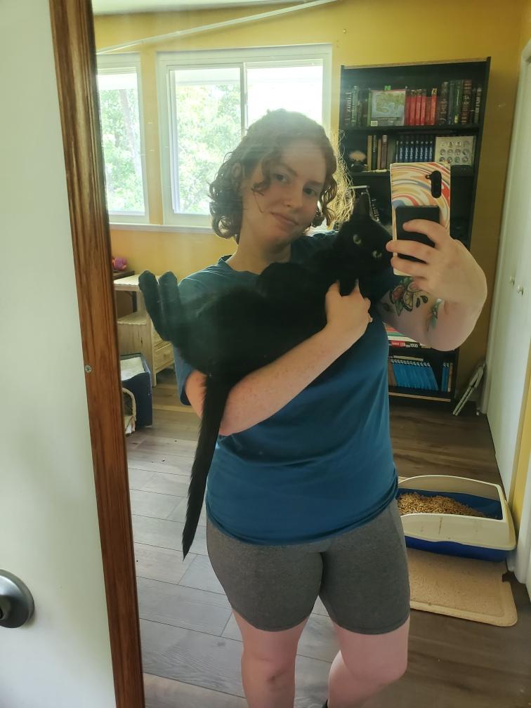 Margot, a Adoptable Domestic Short Hair in Covington, KY image 5/6