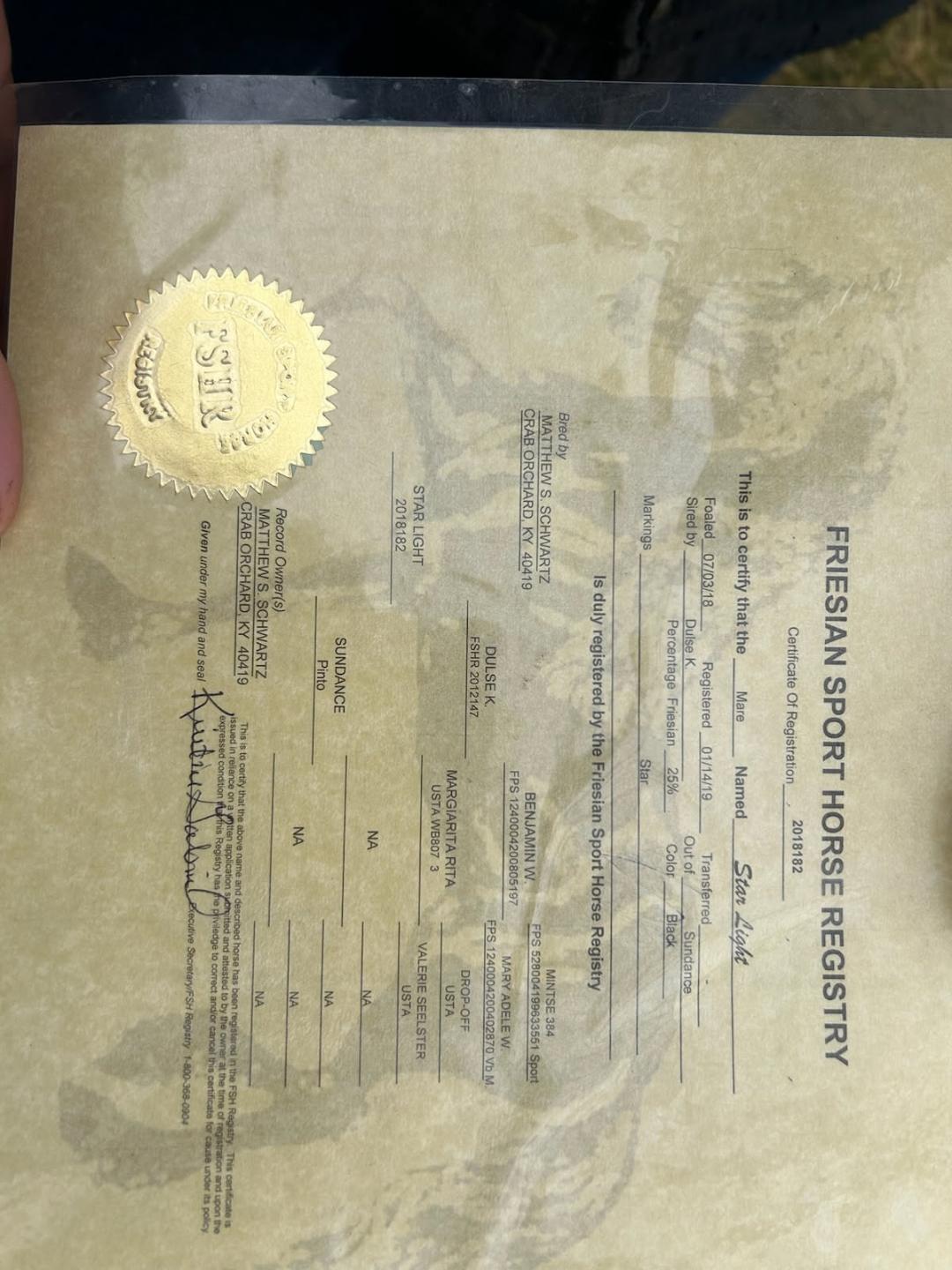 Enlarge Stanley, a Adoptable mixed breed in Leitchfield , KY image 4/4