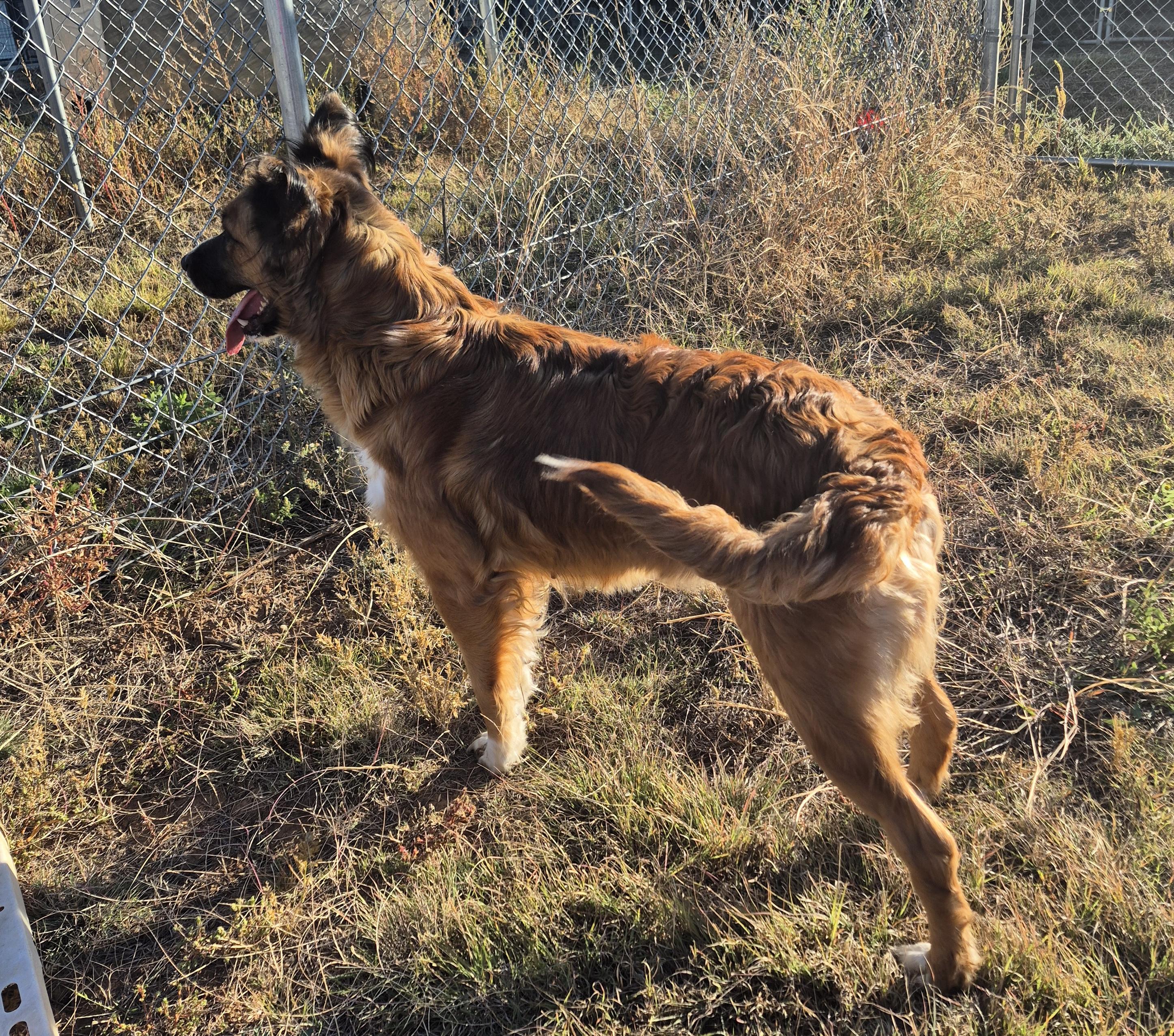 Roberta — thumbnail 3