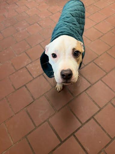 Justify — thumbnail 2