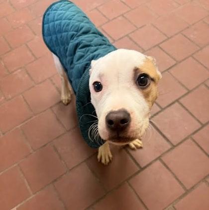 Justify — thumbnail 3