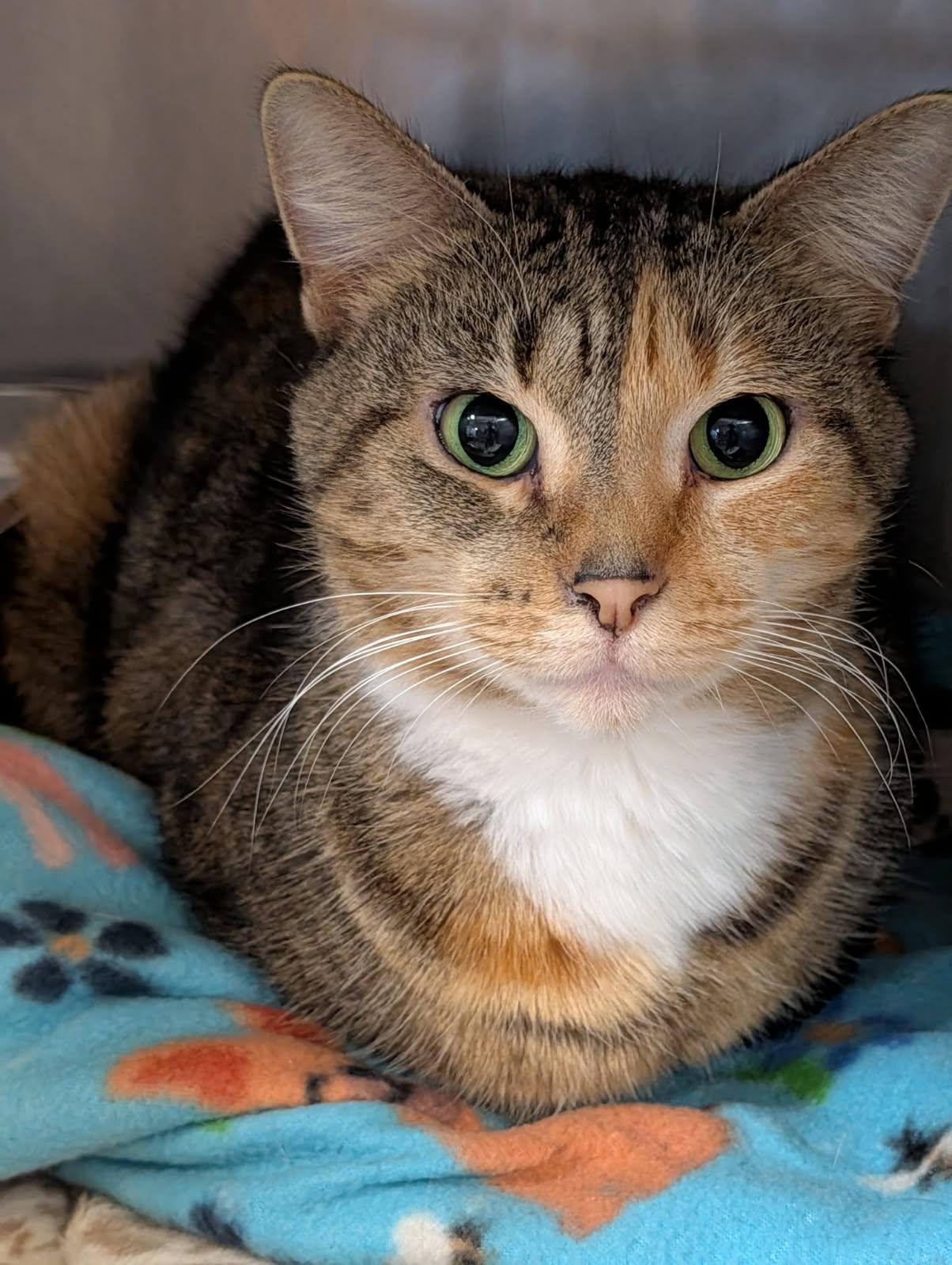 Fluffy & Sausage thumbnail 3