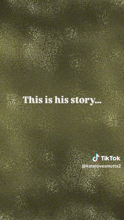 Enlarge Chopper, a Adoptable mixed breed in Claremont, CA video 2/5