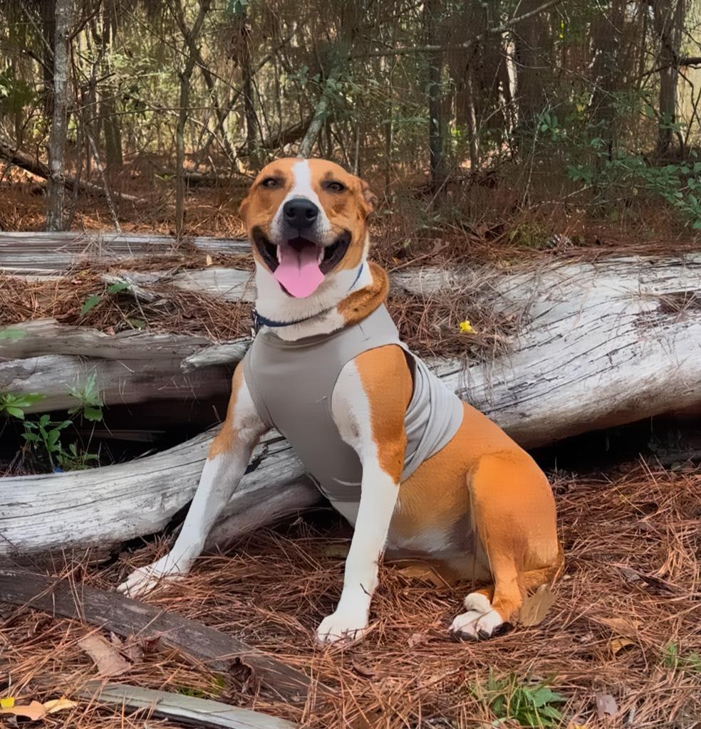 Karma — thumbnail 2