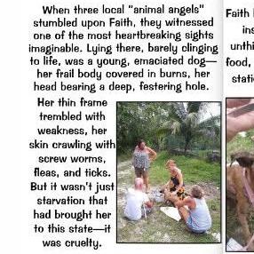 Faith, Adoptable, Adult Female Mixed Breed.