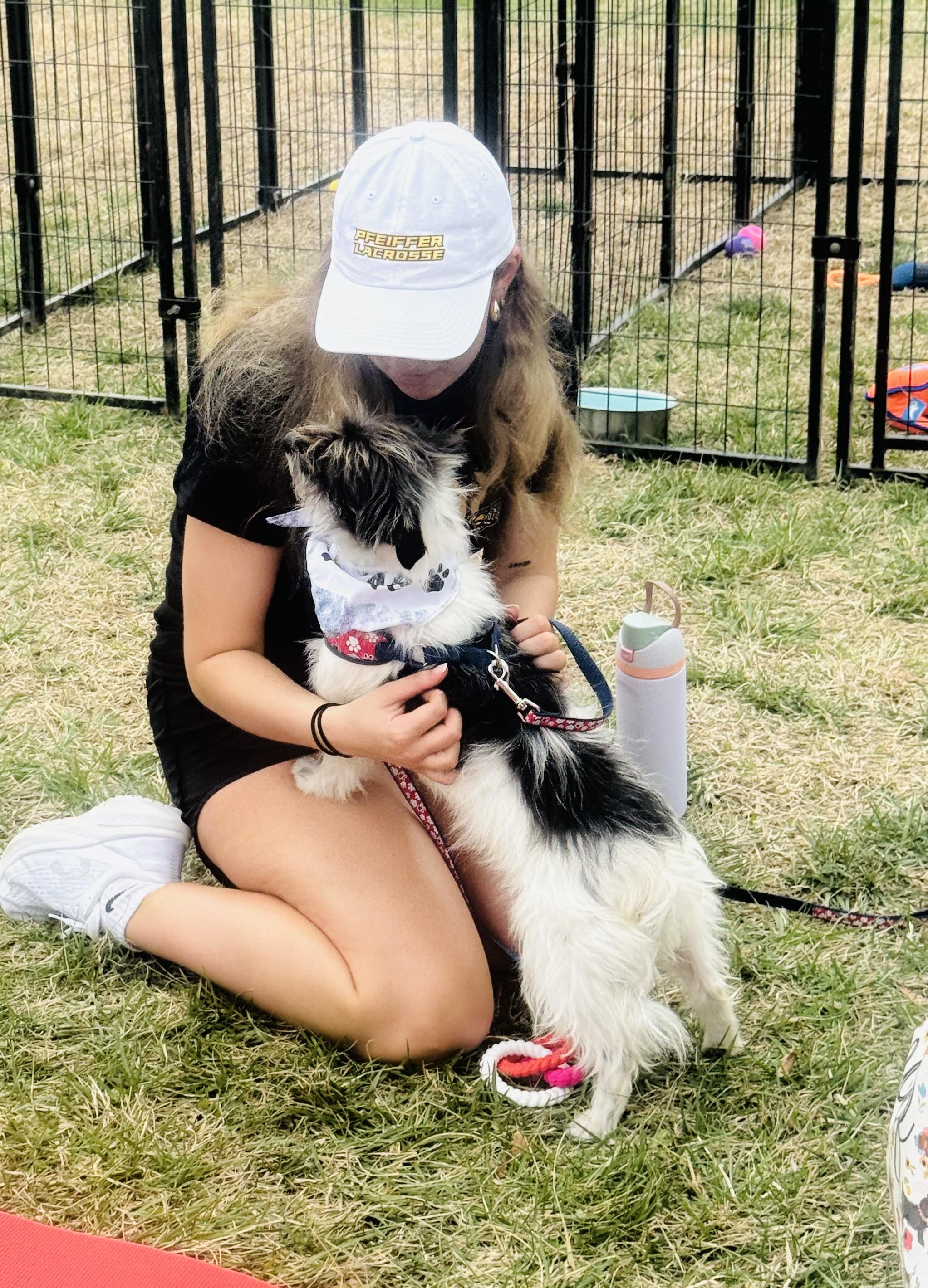 Enlarge Archer, an adopted Yorkie Poo in Albemarle, NC image 3/4