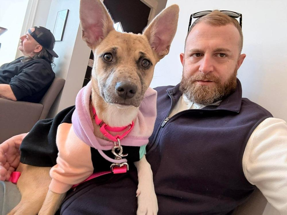 Enlarge Snapple, a Adoptable mixed breed in Saugus, MA image 3/5