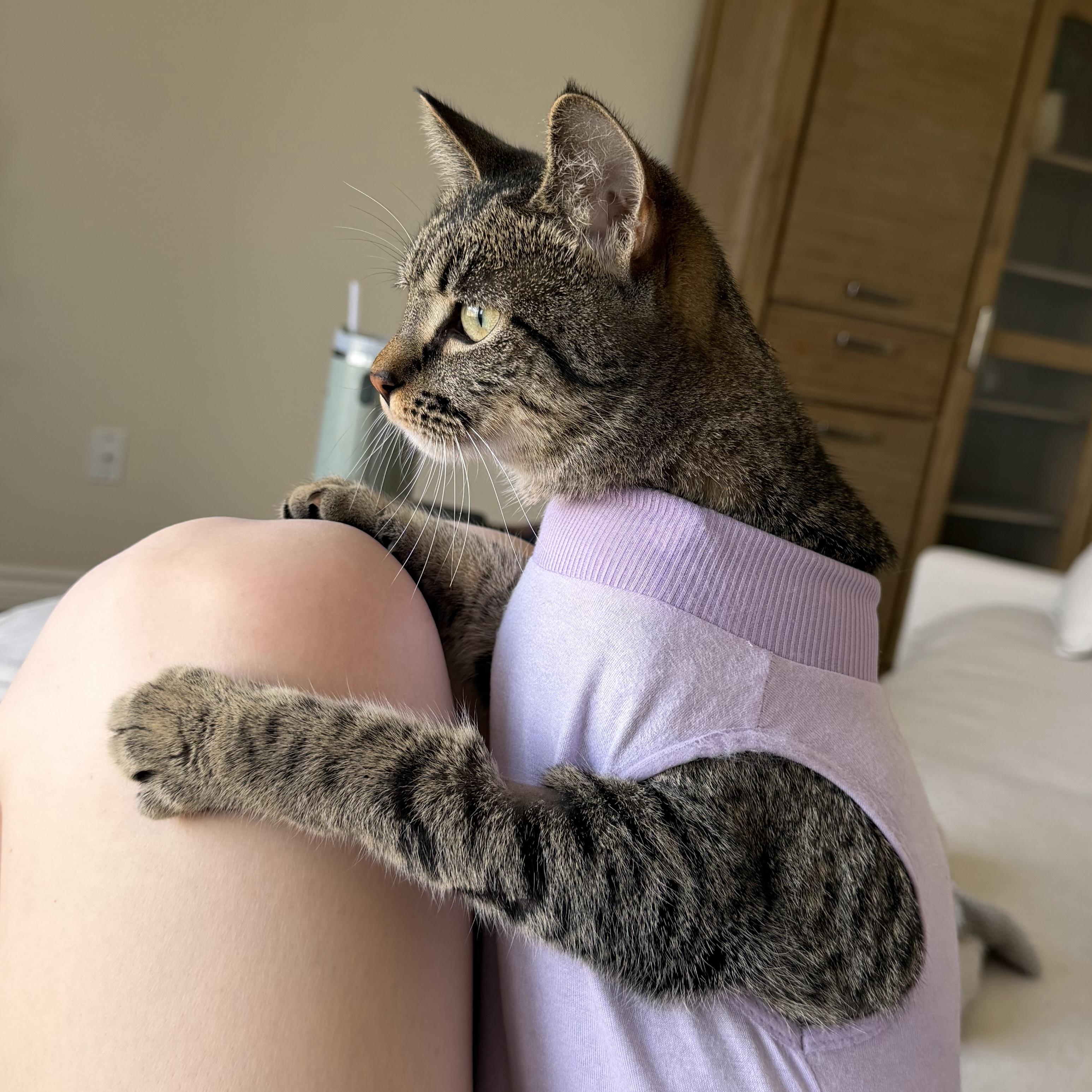 Enlarge Mila, a Adoptable mixed breed in Kamloops, BC image 2/6