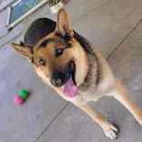 Kirby Aka Cole thumbnail 2