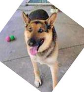 Kirby Aka Cole thumbnail 3