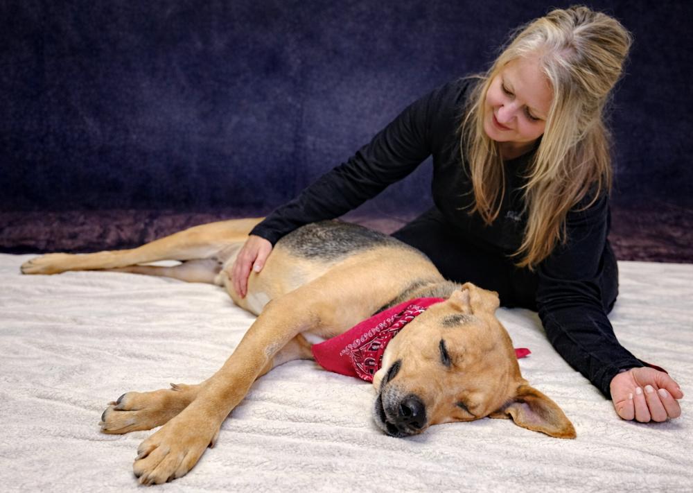 Enlarge Jasper, a ADOPTABLE mixed breed in Cheboygan, MI image 3/6