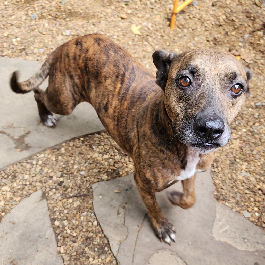 Abby — thumbnail 2