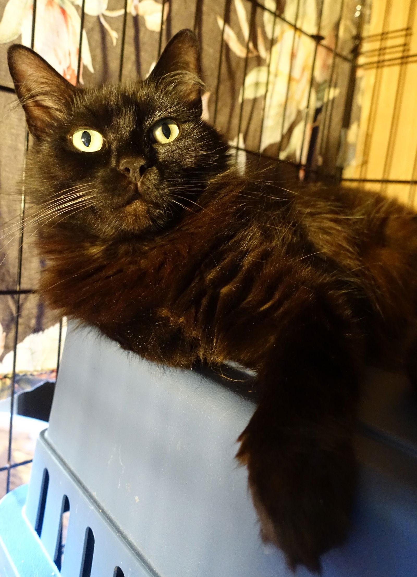 BELLA Easy Going & Calm