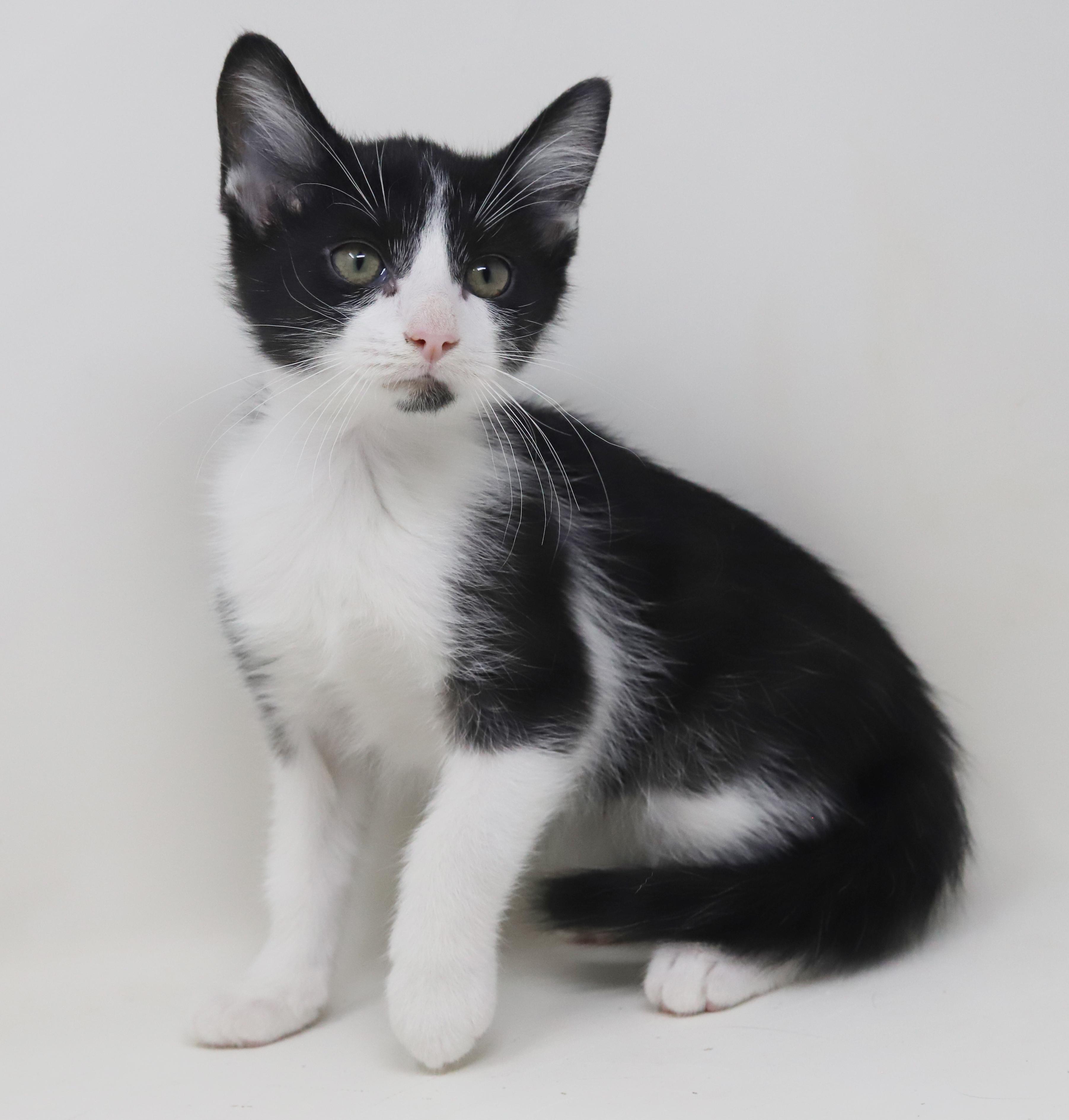 Roo Is Truly A thumbnail 3