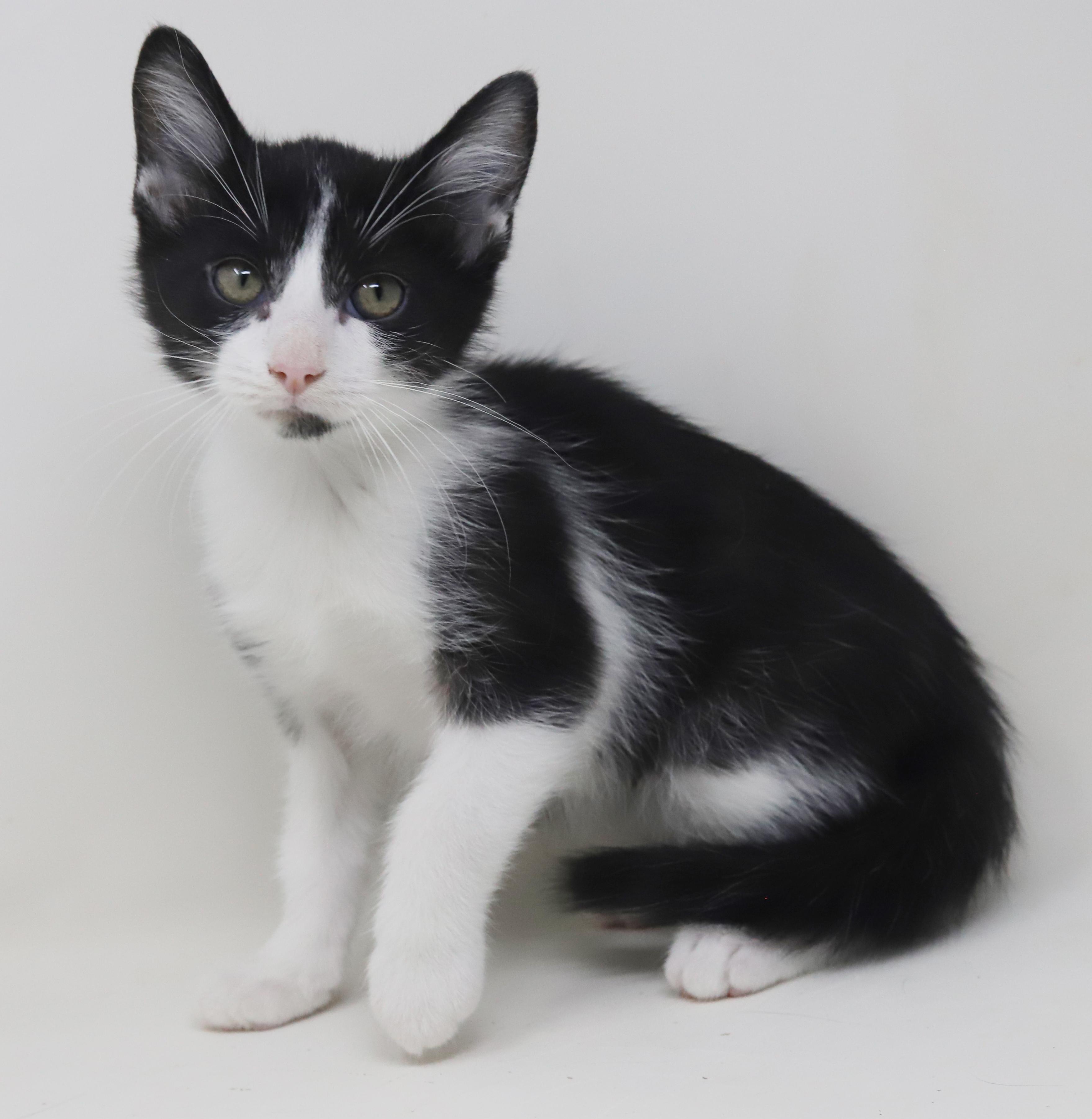 Roo Is Truly A thumbnail 4