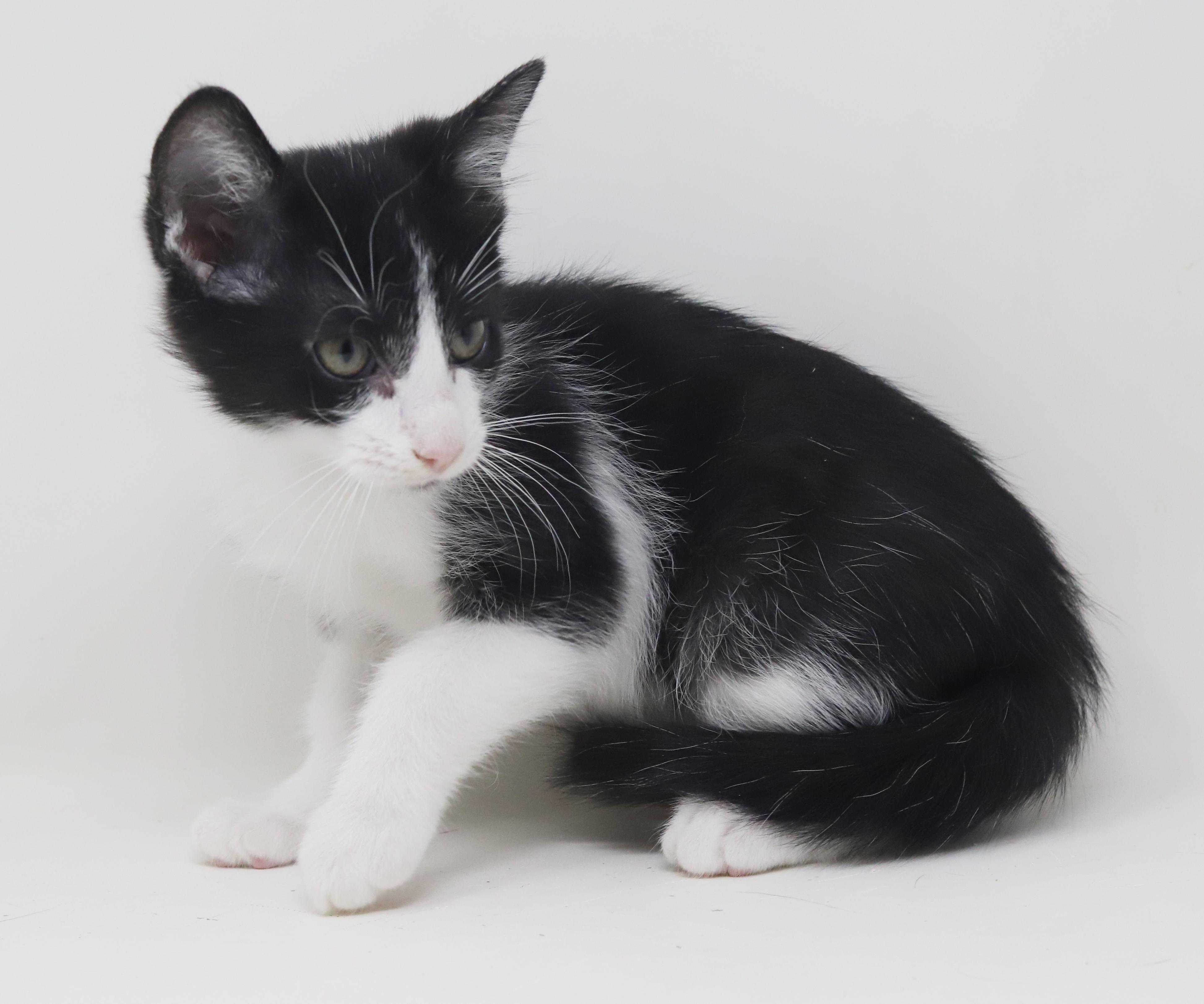 Roo Is Truly A thumbnail 5