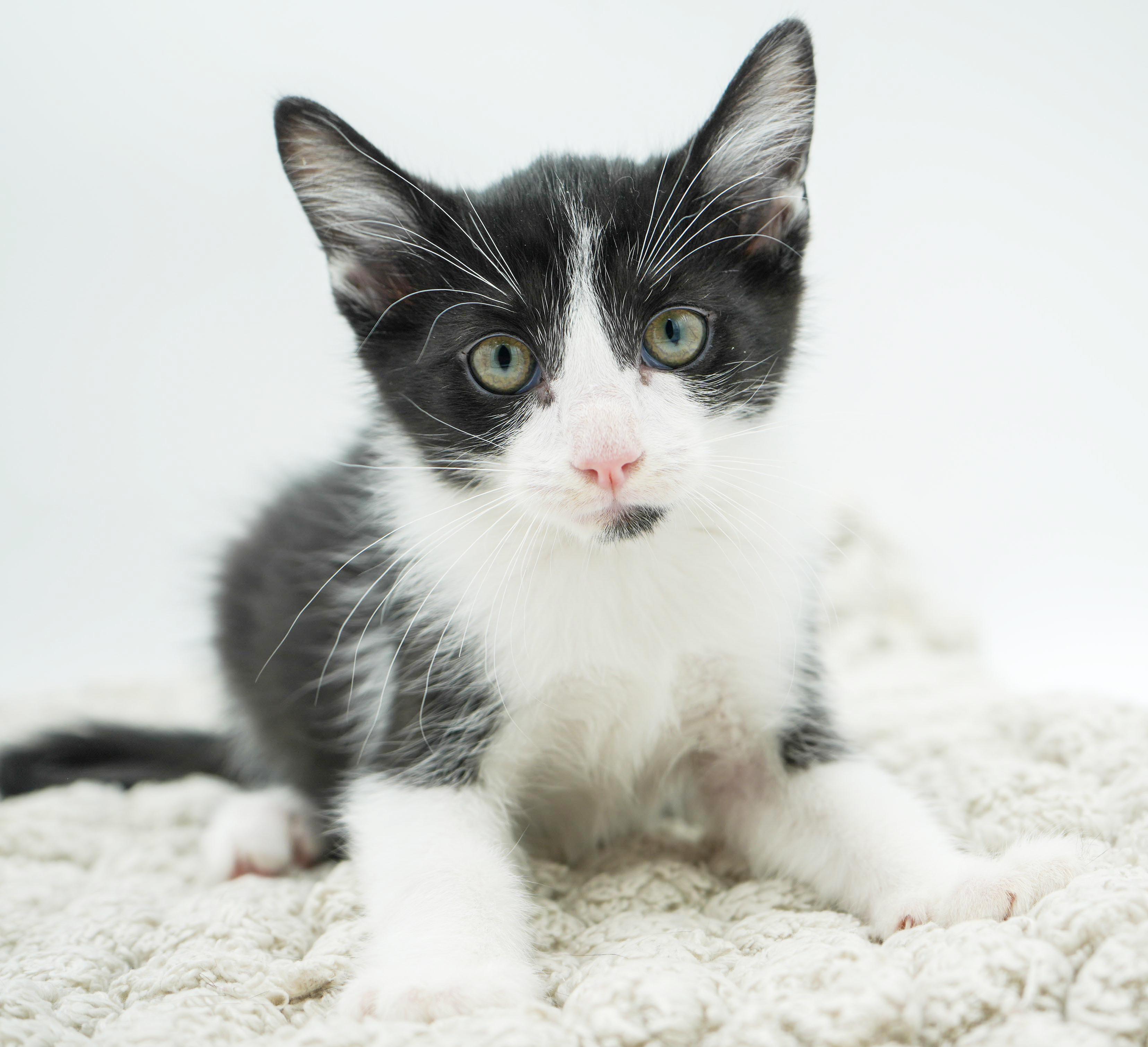 Roo Is Truly A thumbnail 6