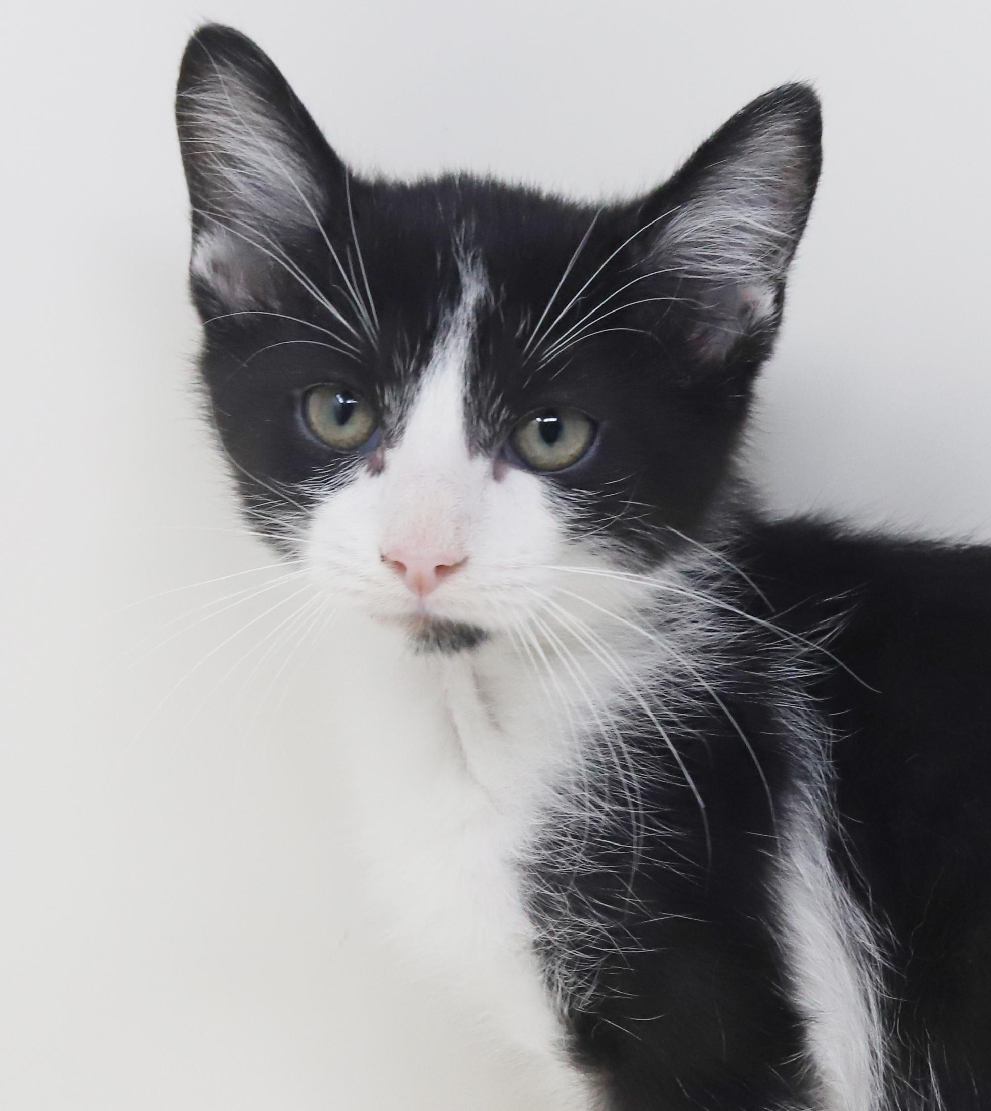 Roo Is Truly A thumbnail 7