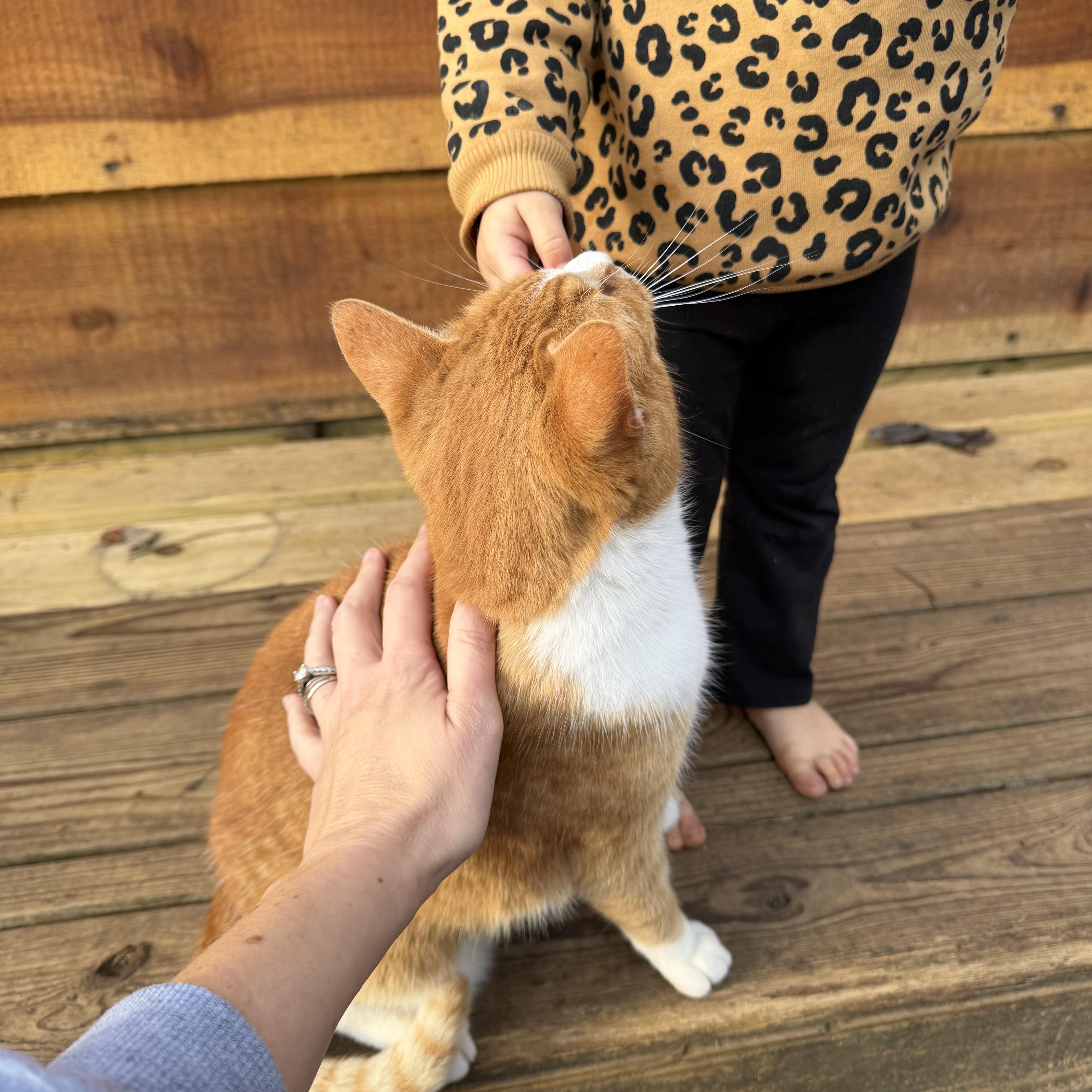 Thomas — thumbnail 2