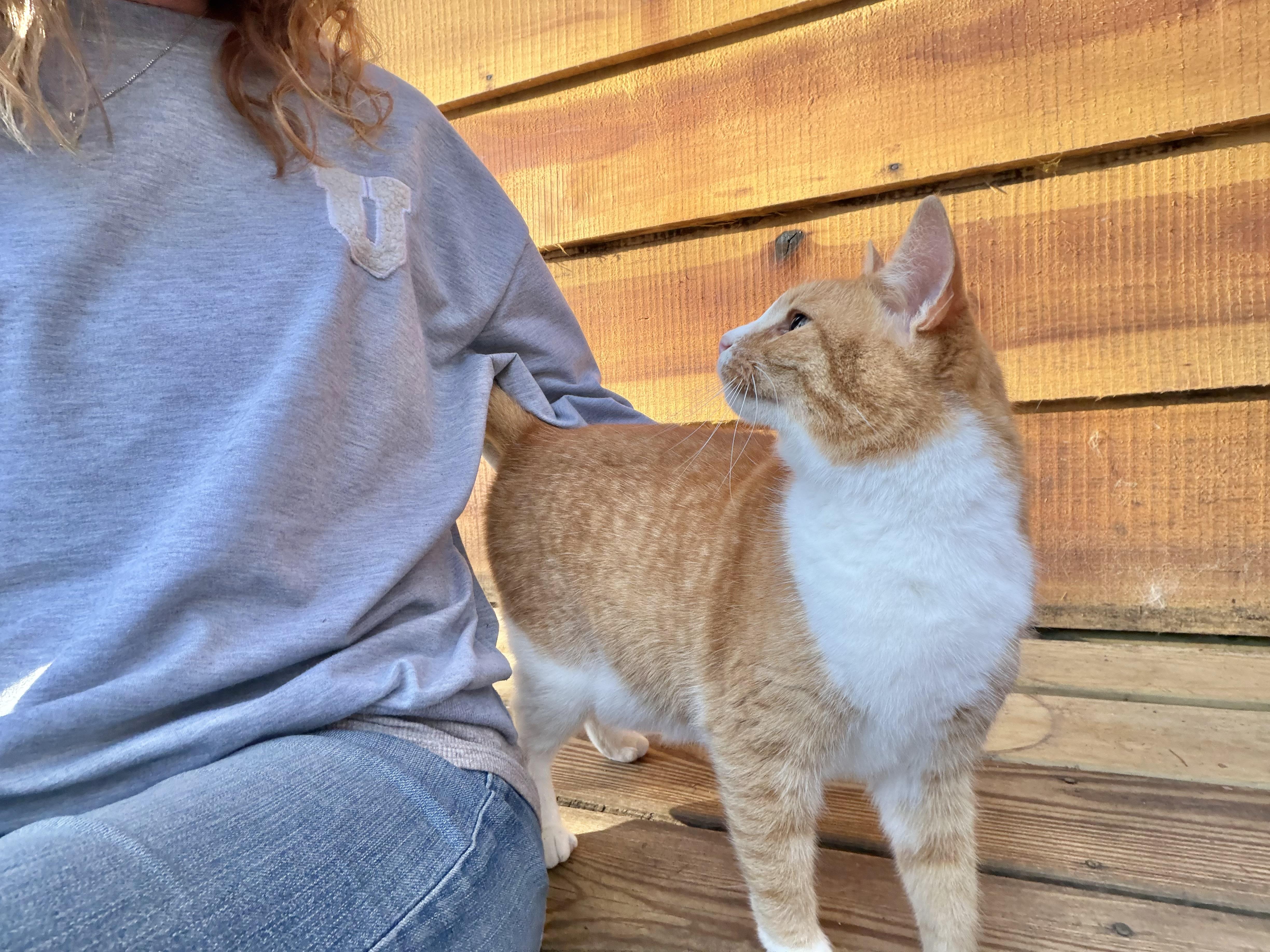 Thomas — thumbnail 3