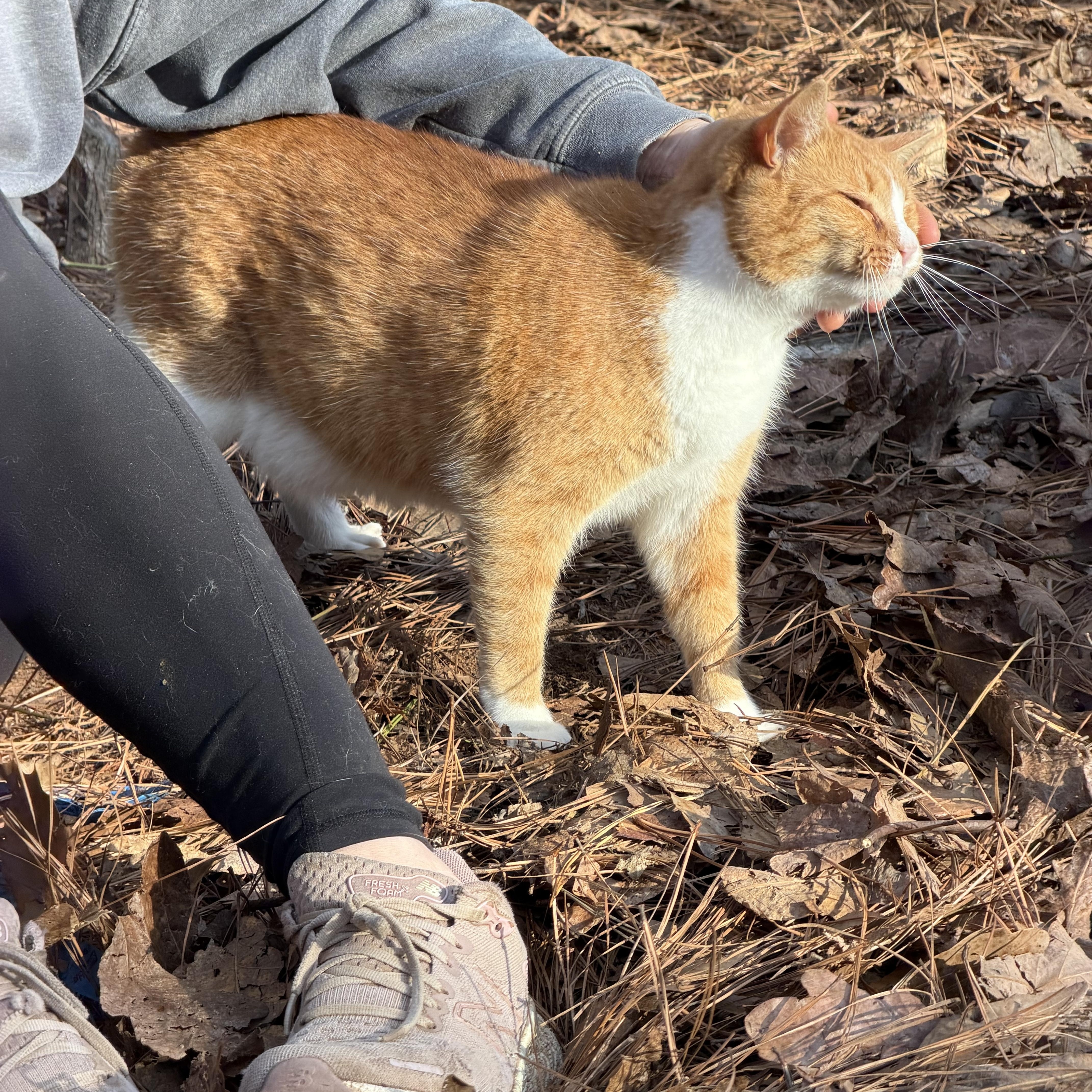 Thomas — thumbnail 5