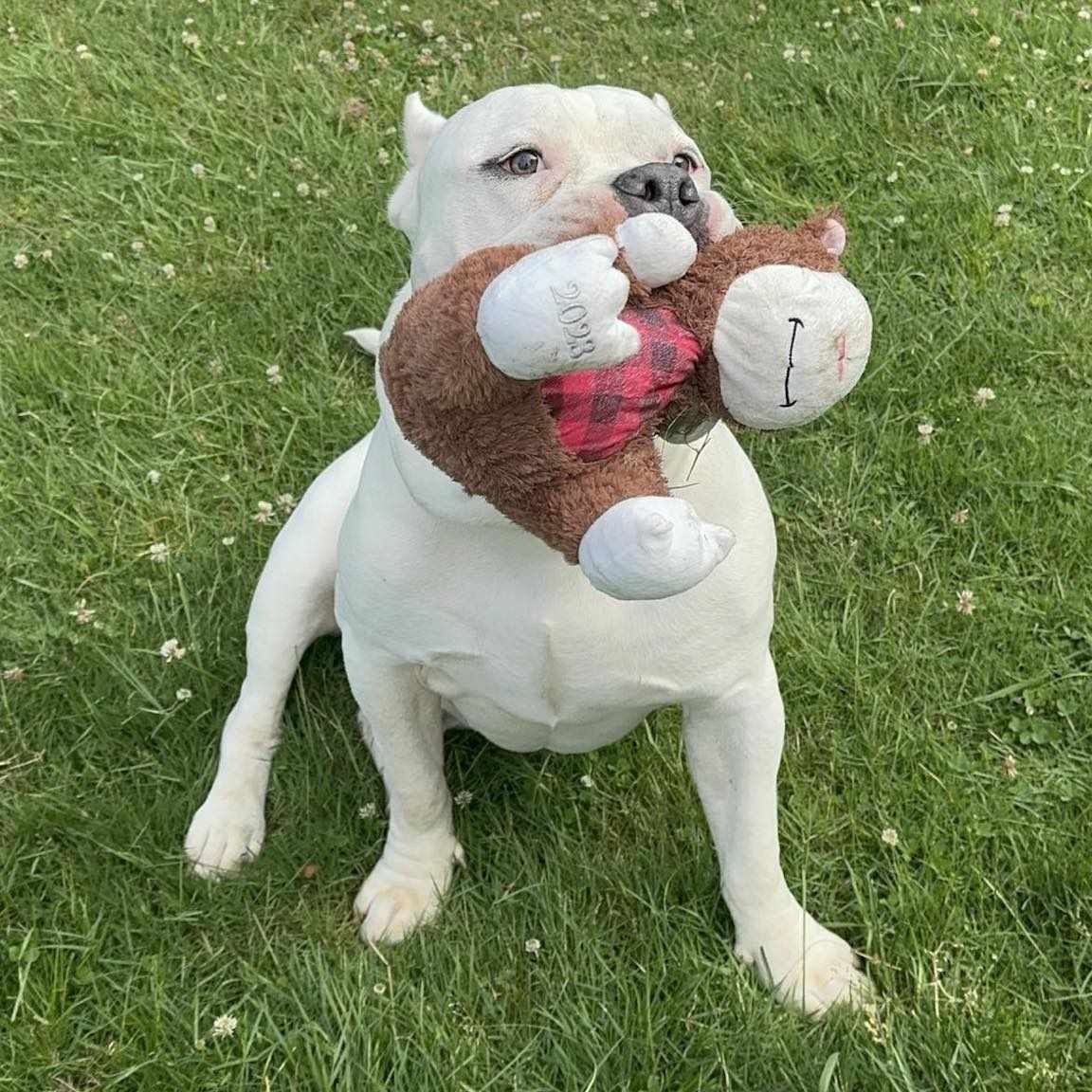 Carlos