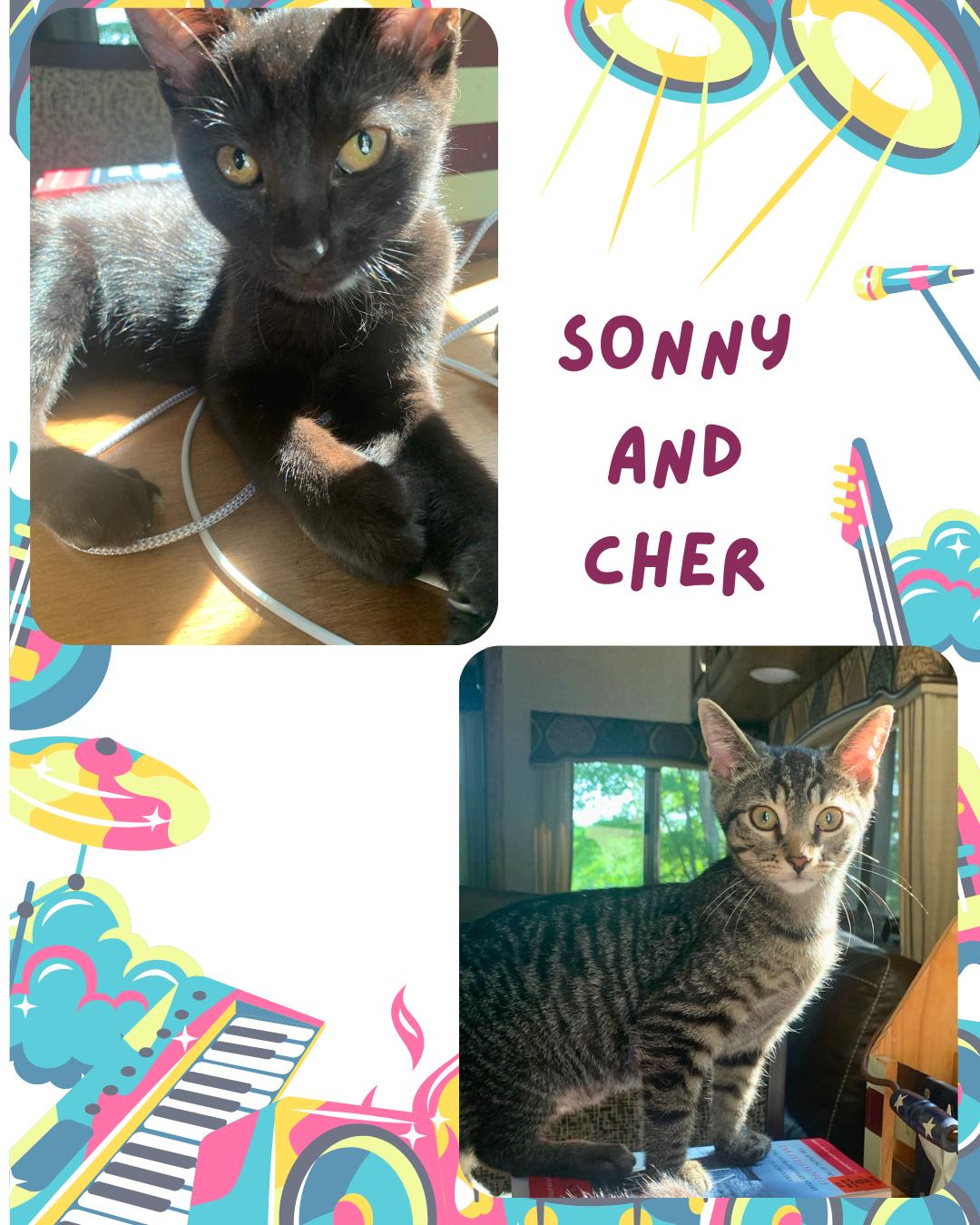 Sonny and Cher