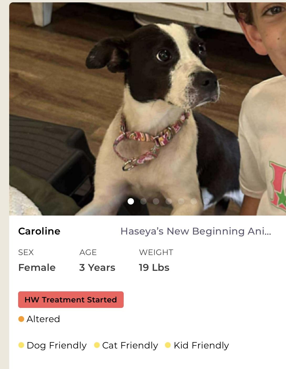Caroline