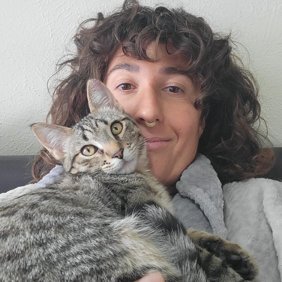 Enlarge Diego Birgen , a Adoptable mixed breed in Denver, CO image 6/6